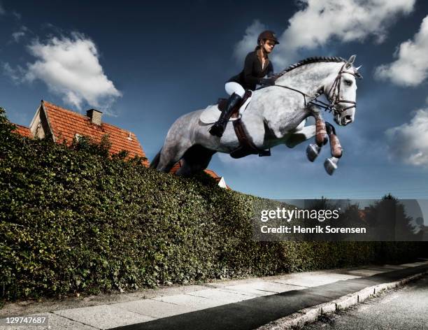 horse and rider jumping in urban surroundings - out of context stock pictures, royalty-free photos & images