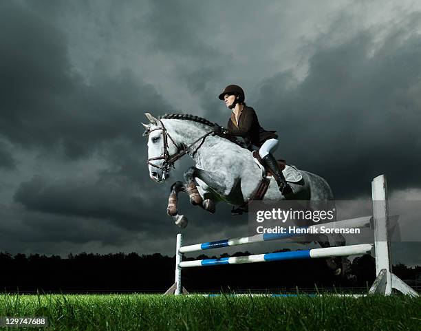 woman on horse jumping - corrida de obstáculos corrida de cavalos - fotografias e filmes do acervo