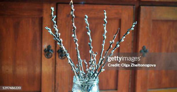 bouquet of willow branches on a beautiful wooden background for happy easter. blossoming willow buds - saule blanc photos et images de collection