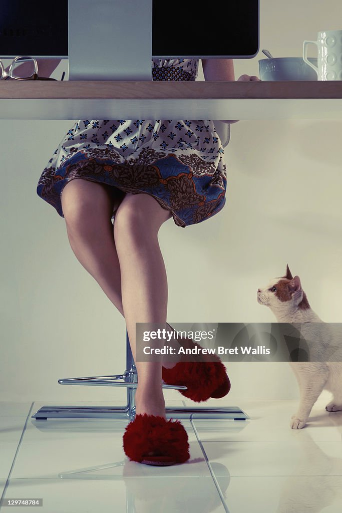 Woman's feet in slippers & her cat beneath a desk