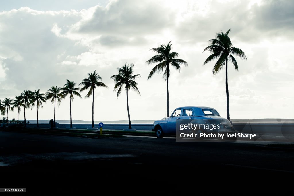 Vintage car driving past palm trees