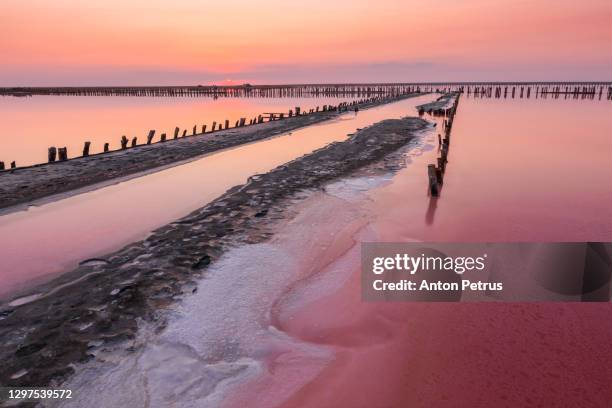 salt on a pink salt lake at sunset. pink salt lake syvash, ukraine - syvash fotografías e imágenes de stock