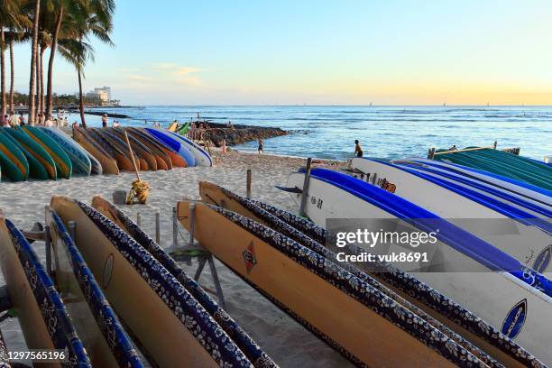 tavole da surf sulla spiaggia di waikiki - surf board foto e immagini stock