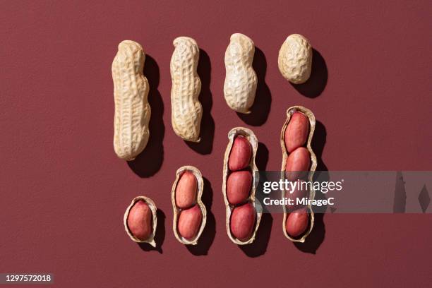 peeled peanuts collection on red background - peanut stock pictures, royalty-free photos & images