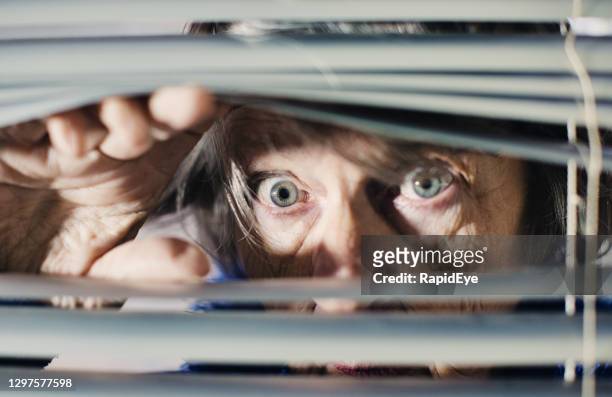 seniorin schaut ängstlich durch jalousien - peep window stock-fotos und bilder