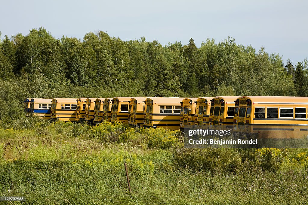 School buses parked next to field and woods