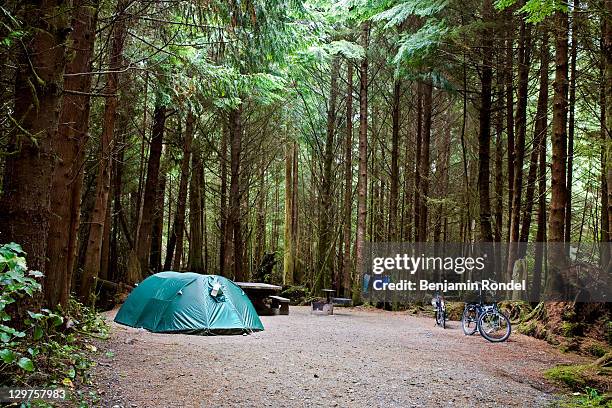 occupied campsite at camping ground - camping 個照片及圖片檔