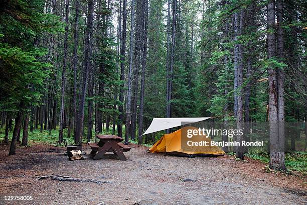 camping ground - empty picnic table stock pictures, royalty-free photos & images