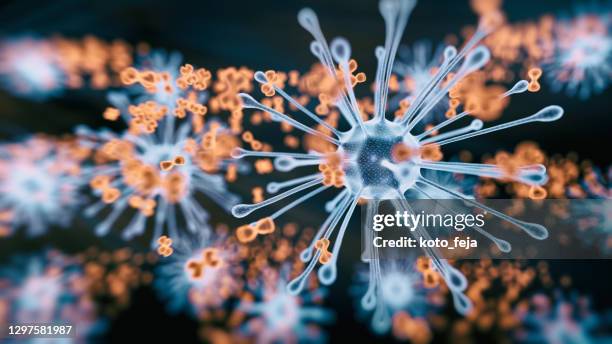 anticorpo abs covid-20 - citomegalovirus foto e immagini stock