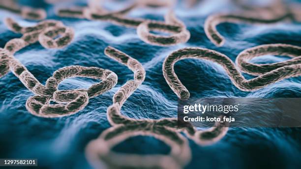 abs virus ebola - petechiae stockfoto's en -beelden