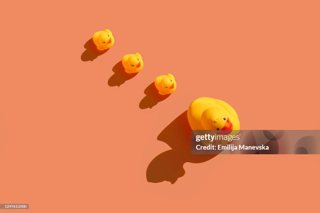 Yellow rubber ducks in a line on colored background