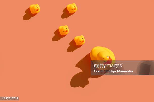 yellow rubber ducks in a line on colored background - ducks following stock pictures, royalty-free photos & images