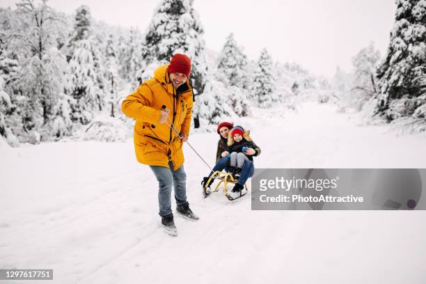sleighing time! - winter stock pictures, royalty-free photos & images