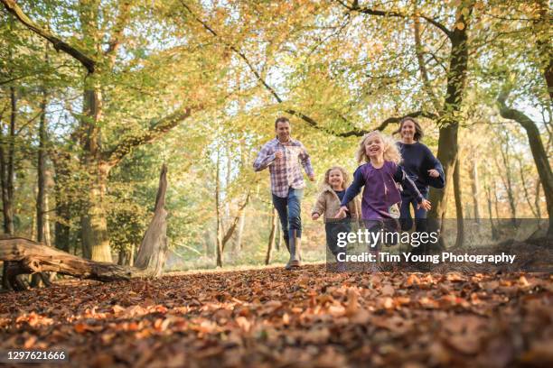 family running through the woods in autumn - family shoes stock-fotos und bilder