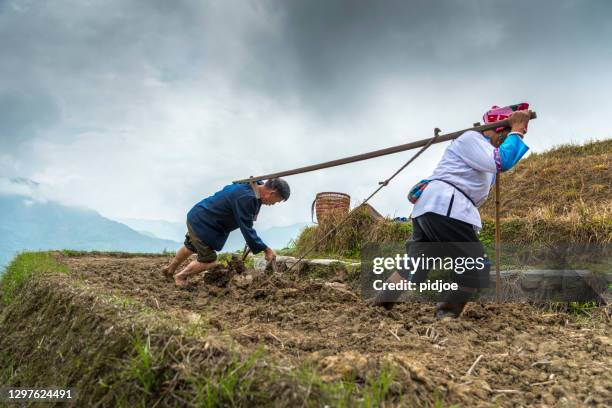 rice farmers ploughing the land by hand - sweatshop stock pictures, royalty-free photos & images