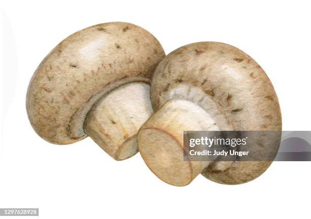 mushroom pair 2 - white mushroom stock illustrations