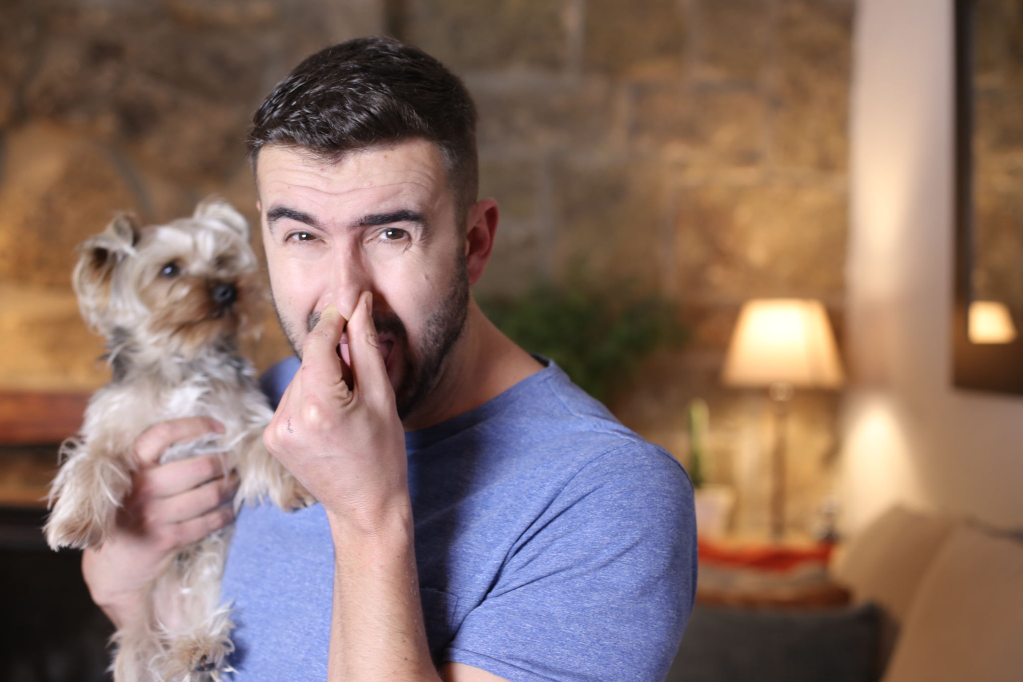 pet odor control