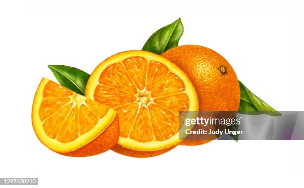 orange whole with wedge and half - tree cutting stock illustrations