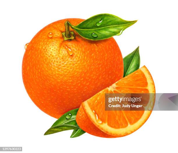 orange und keil - orange frucht stock-grafiken, -clipart, -cartoons und -symbole