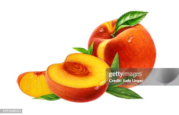 1 352点の桃イラスト素材 Getty Images 1 352点の桃イラスト素材 Getty Images