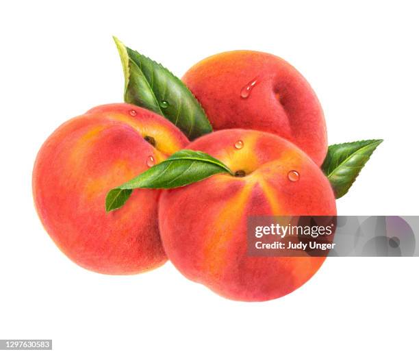 stockillustraties, clipart, cartoons en iconen met peches 2 - peach colour