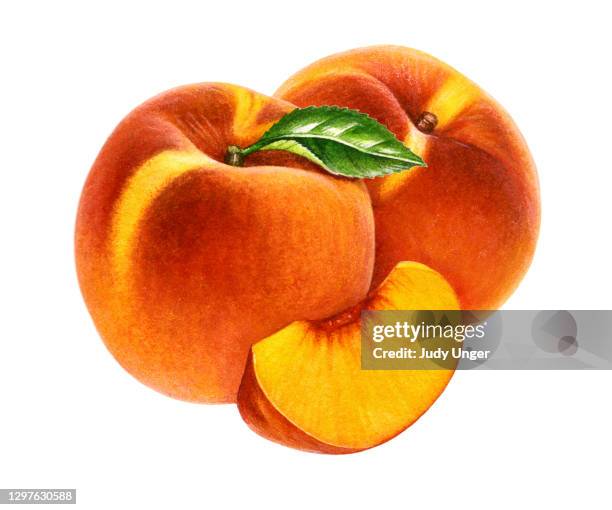 peach two and wedge - peach tree stock illustrations