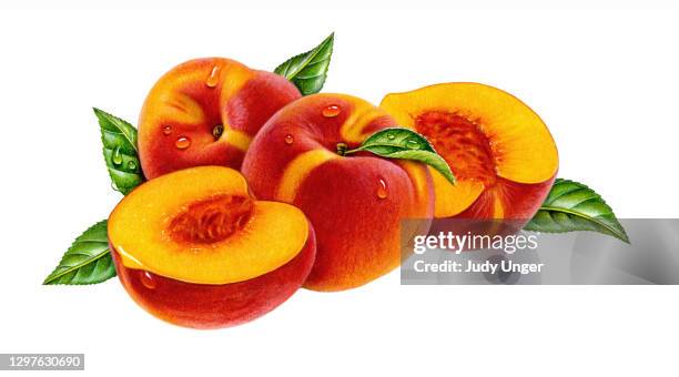 peach group - peach tree stock illustrations