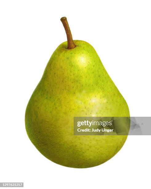 pear bartlett - pear stock illustrations