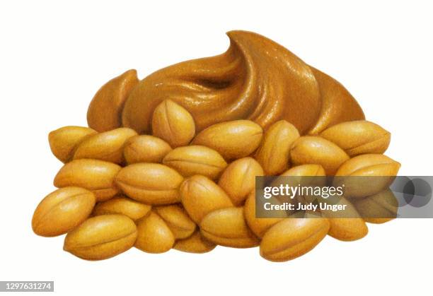 peanut butter medley - peanuts isolated stock illustrations
