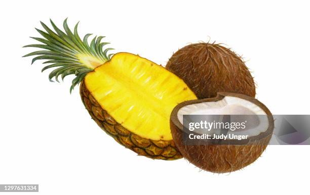 pineapple coconut - coconut isolated stock illustrations