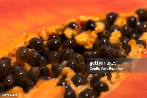 close-up of papaya fruit - papaya photos et images de collection