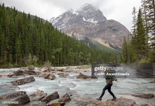 woman hiker jumps between rocks on a glacial river - yoho national park stock pictures, royalty-free photos & images