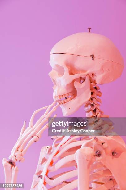 a human skeleton chewing their fingers. - funny skeleton stockfoto's en -beelden