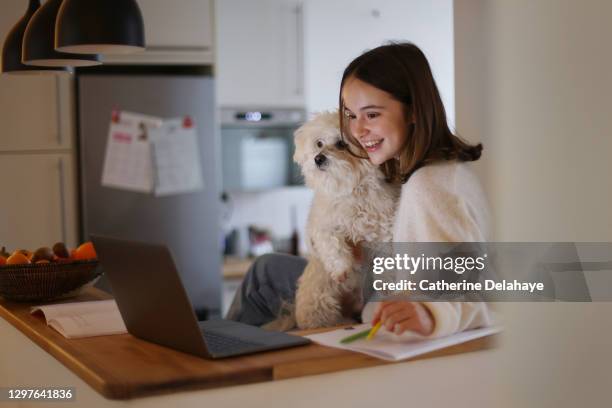 a 15 years old girl and her dog attending online school classes from home - 14 15 years fotografías e imágenes de stock