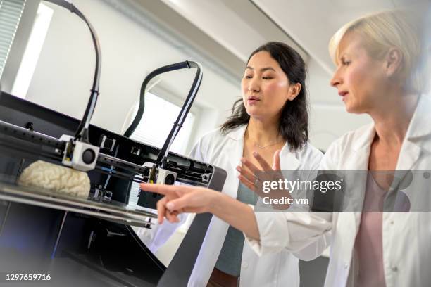 two female scientist looking at human brain model 3d printing - internal system stock pictures, royalty-free photos & images
