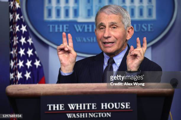 Dr Anthony Fauci, Director of the National Institute of Allergy and Infectious Diseases, speaks during a White House press briefing, conducted by...