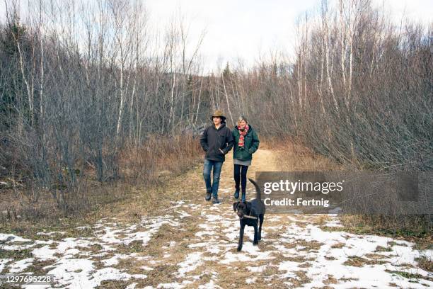 a mother and her teenaged son out for a walk in the woods on a winter day. - mature adult walking dog stock pictures, royalty-free photos & images