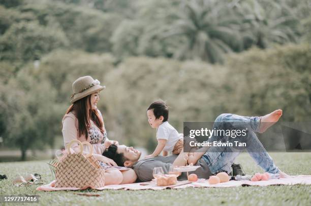 família jovem chinesa asiática desfrutando tempo piquenique ao ar livre durante o fim de semana - asian baby - fotografias e filmes do acervo