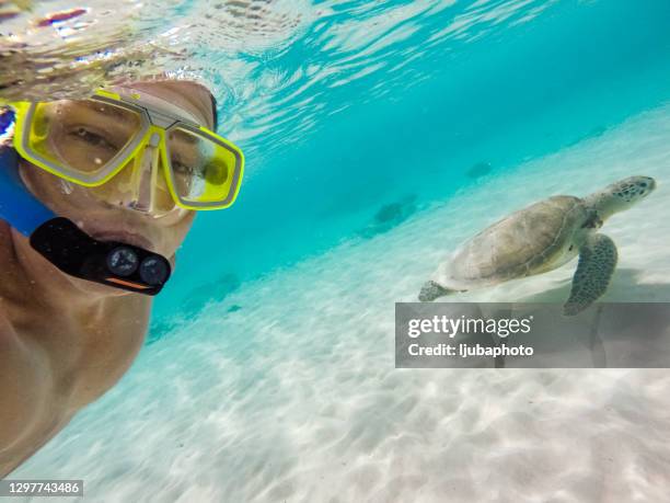 selfie von reifen männern mit schildkröte unter wasser - saint martin stock-fotos und bilder