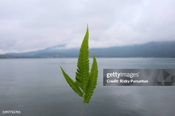 scenic view of bratan lake - pura ulu danau temple stock pictures, royalty-free photos & images