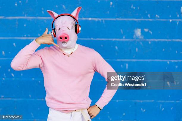 young man in pig mask call me gesturing while listening music through headphones against blue wall - hand gestures stock pictures, royalty-free photos & images