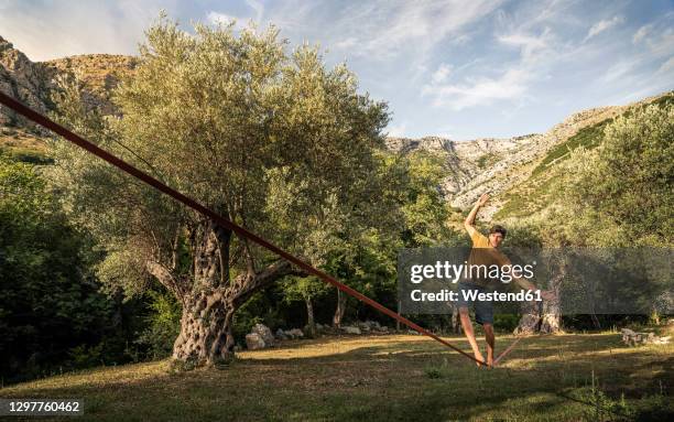 man walking on slackline between old olive trees in landscape - slackline stockfoto's en -beelden