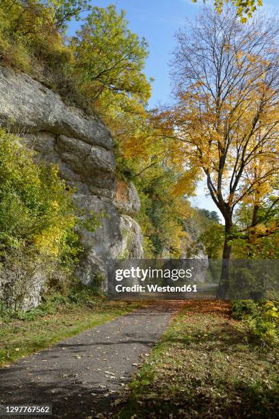 empty footpath indanube valley during autumn - donautal stock-fotos und bilder