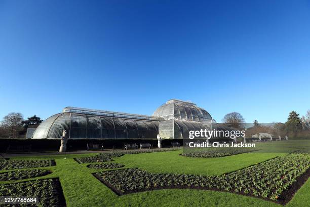 General view of the Palm House at Kew Gardens on January 22, 2021 in London, England. Built by architect Decimus Burton and iron-maker Richard Turner...