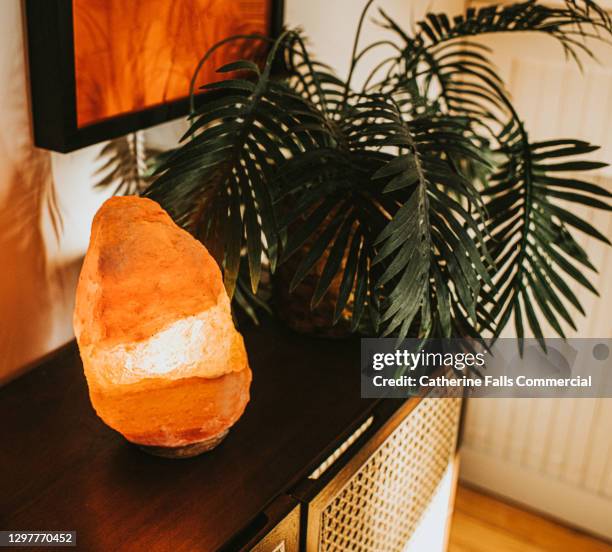 salt lamp sitting in a home environment beside a house plant - lamp bildbanksfoton och bilder