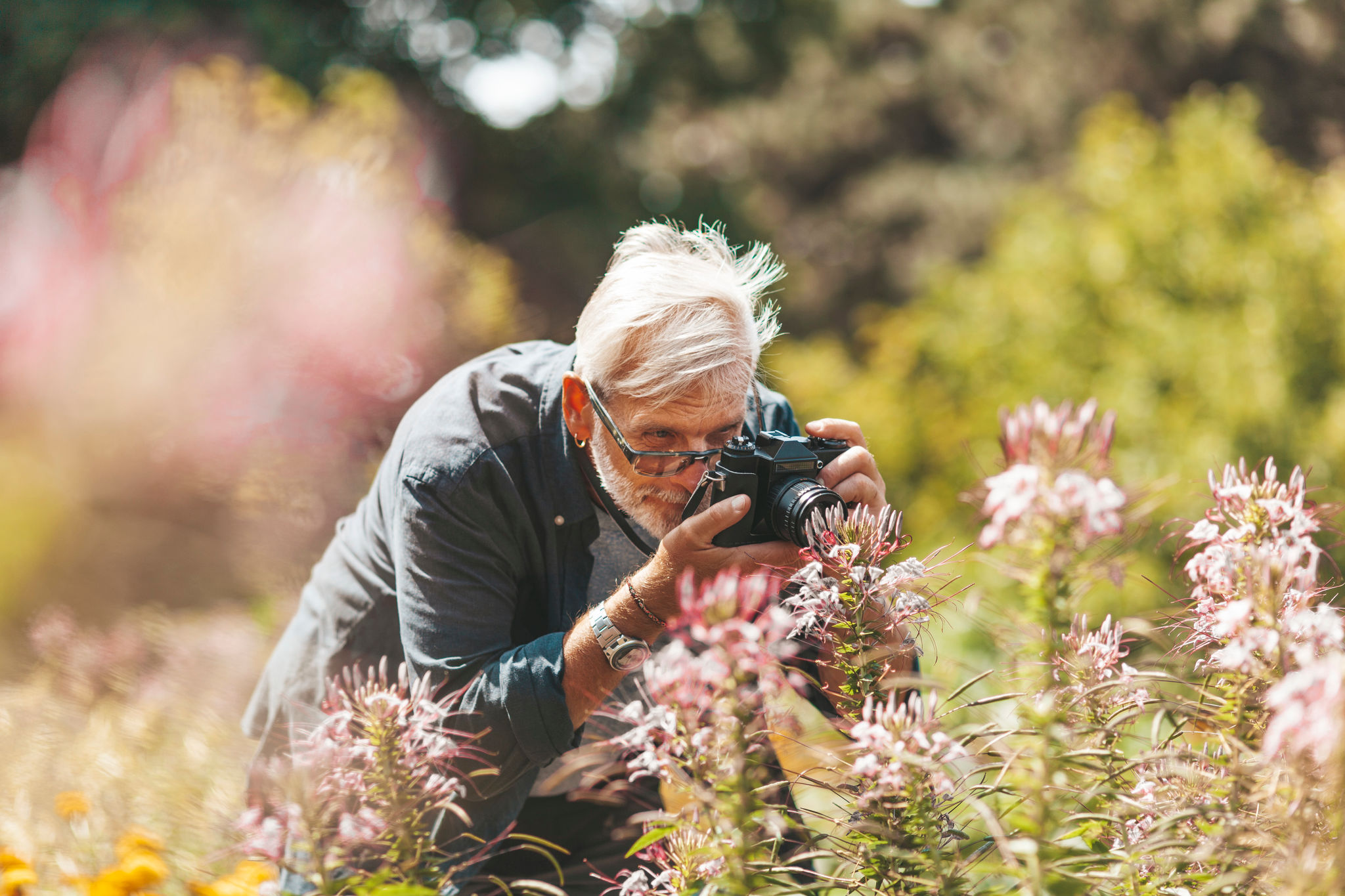 photographer garden