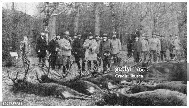 antikes schwarz-weiß-foto: jagd mit königshaus, deutscher kaiser wilhelm ii. - tiere bei der jagd stock-grafiken, -clipart, -cartoons und -symbole
