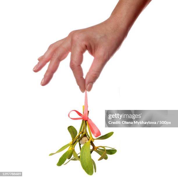 cropped hand of woman holding a mistletoe against white background - twig stock pictures, royalty-free photos & images
