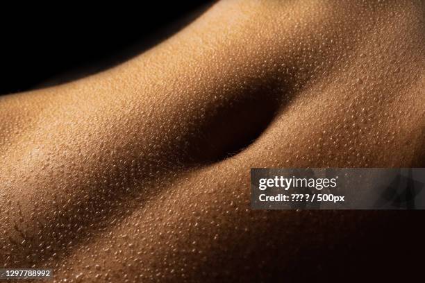 close-up of wet human stomach - 服装 stock-fotos und bilder