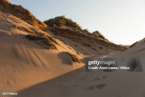 Balmide 45 Balmedie Beach Stock Photos, High-Res Pictures, and Images - Getty ...